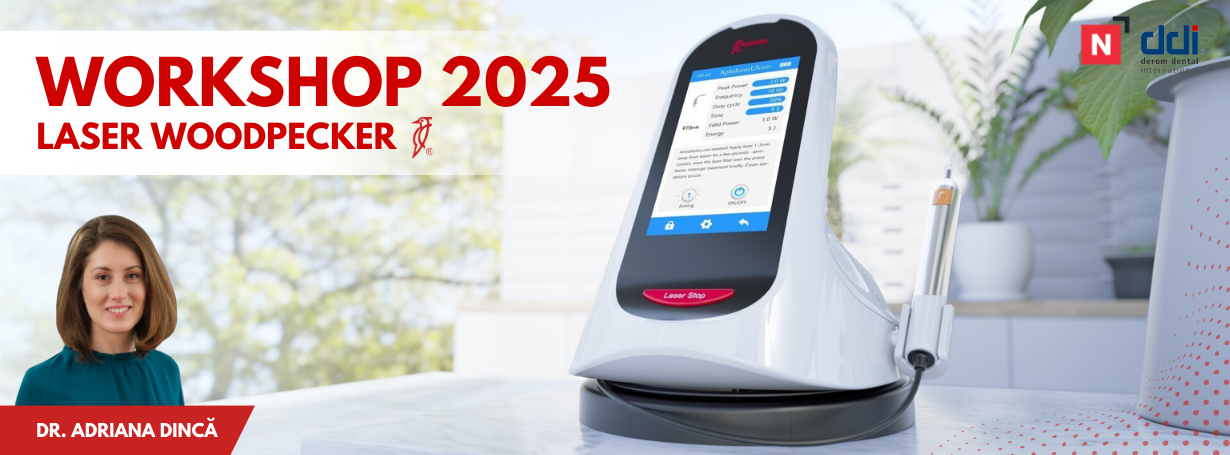 Workshop LASER Woodpecker 2023