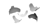 Assorted Strata-G Matrix Bands
