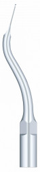 Ansa Detartraj G11 EMS