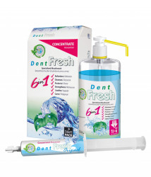 Dent Fresh Original Set