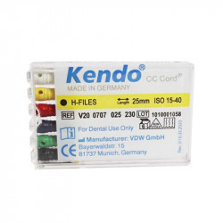 Ace Hedstroem Kendo