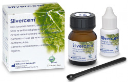 Silvercem