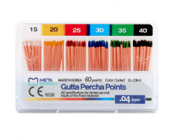 Conuri Gutaperca 04
