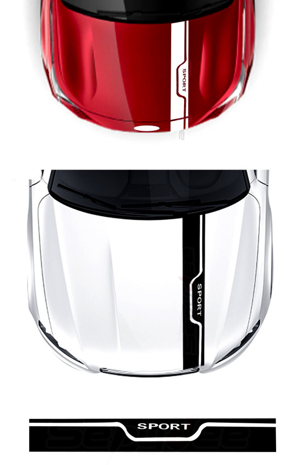 Sticker Auto Dunga Capota Sport Pentru orice marca