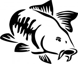 Sticker Autocolant Pescuit Crap 30 cm