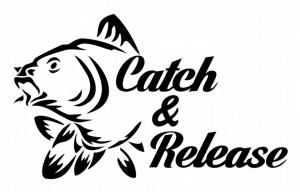 Sticker Pescuit Chatch & Release