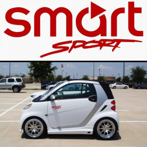 Set Stickere Portiere Smart 25cm