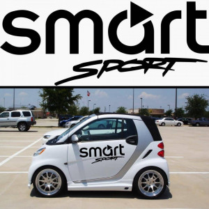 Set Stickere Portiere Smart 60cm