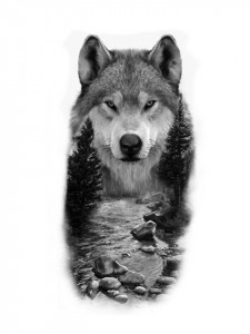 Sticker Auto Tattoo Edition Wolf