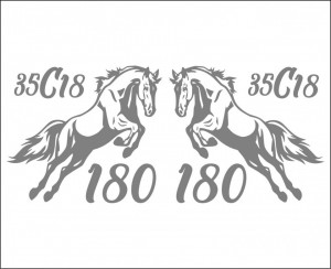 Set Stickere Auto Cai Iveco Daily 35C18