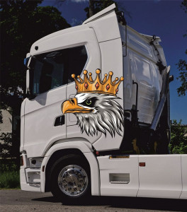 Set 2 Buc Stickere Color Vultur Scania