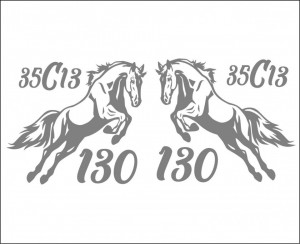 Set Stickere Auto Cai Iveco Daily 35C13