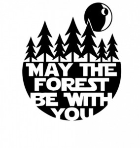 Sticker Auto Camper May The Forest Be With You
