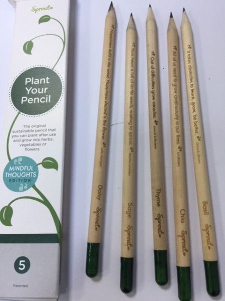 Creioane originale pe care le puteti planta dupa utilizare , si vor creste flori ,legume .