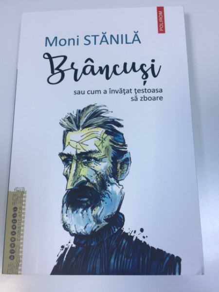 Brâncuși sau cum a învățat țestoasa să zboare - Moni Stănilă