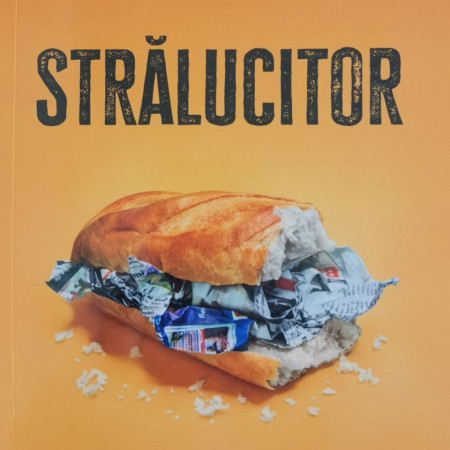 Strălucitor - VIOREL ILIȘOI