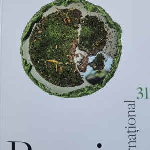 Poesis International nr. 31