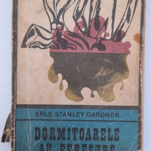 Dormitoarele au ferestre - Erle Stanley Gardner