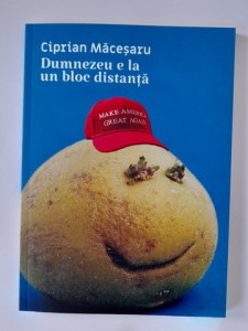 Dumnezeu e la un bloc distanță - Ciprian Măceșaru