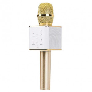 Microfon Karaoke Wireless FOXMAG24, cu Bluetooth si boxa inclusa, autonomie 3-5h, Gold