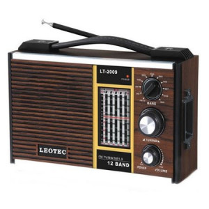 Radio FOXMAG24® LT-2009, 12 benzi