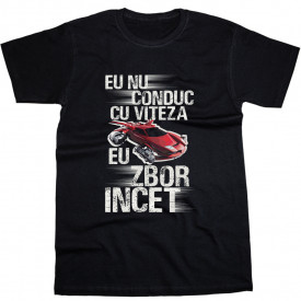 Zbor incet