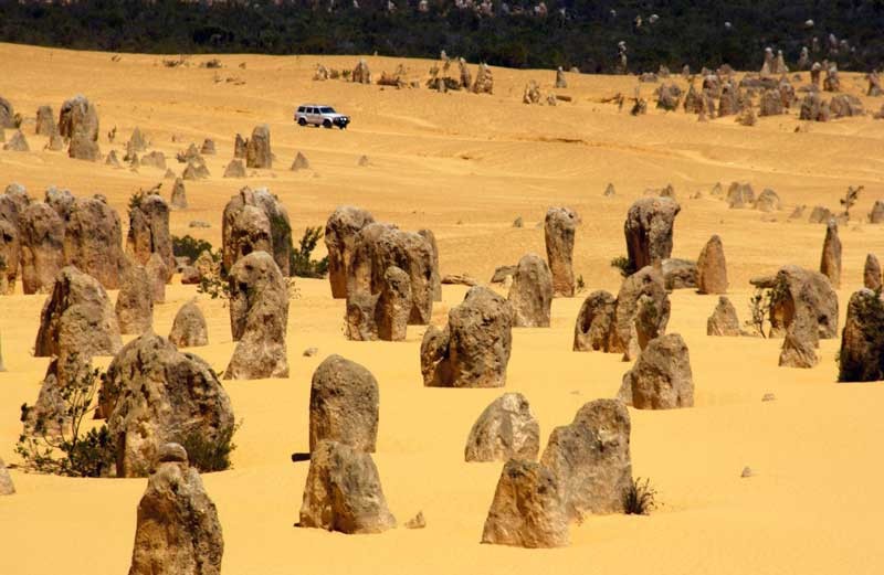 Tablou Desert
