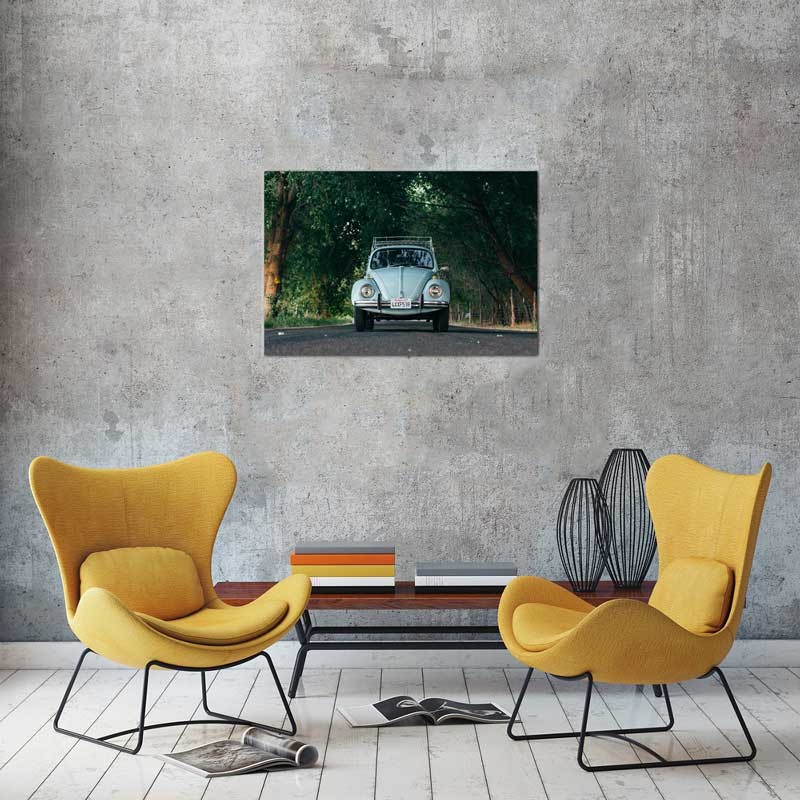 Tablou VW Broscuta