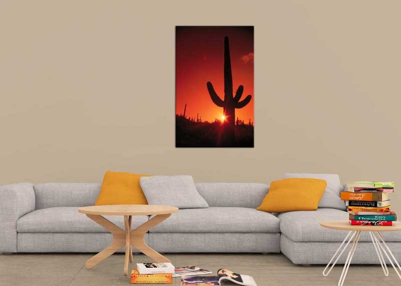 Tablou Cactus in Lumina Apusului