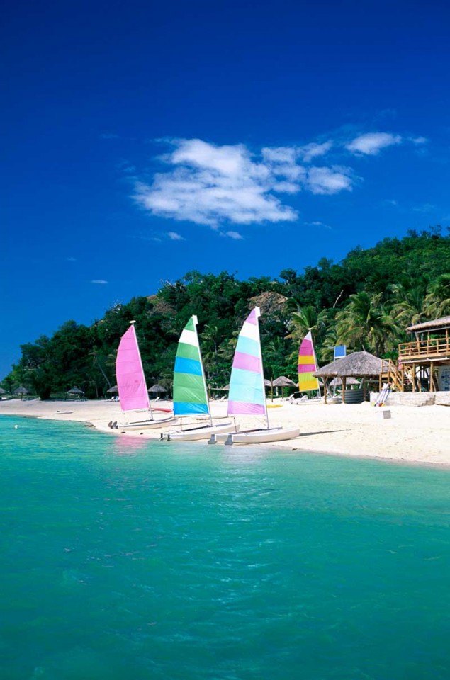 Tablou Paradisul Tropical