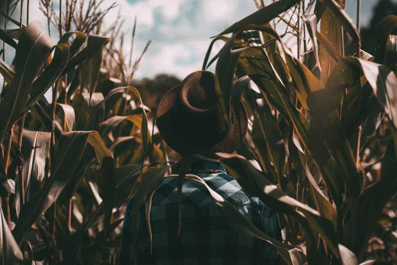 Tablou Agricultor