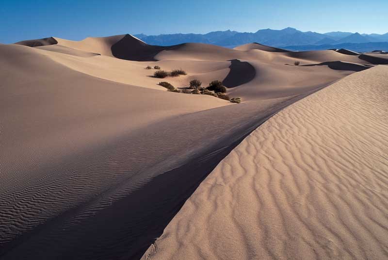 Tablou Desert