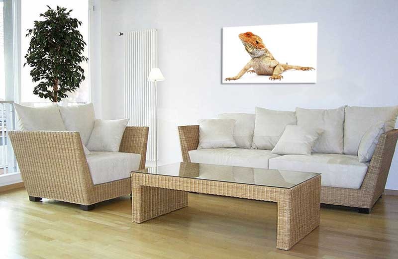 Tablou Iguana