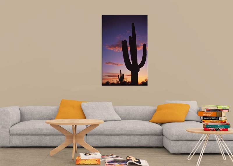 Tablou Cactus