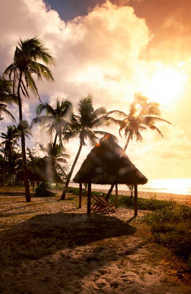 Tablou Paradisul Tropical