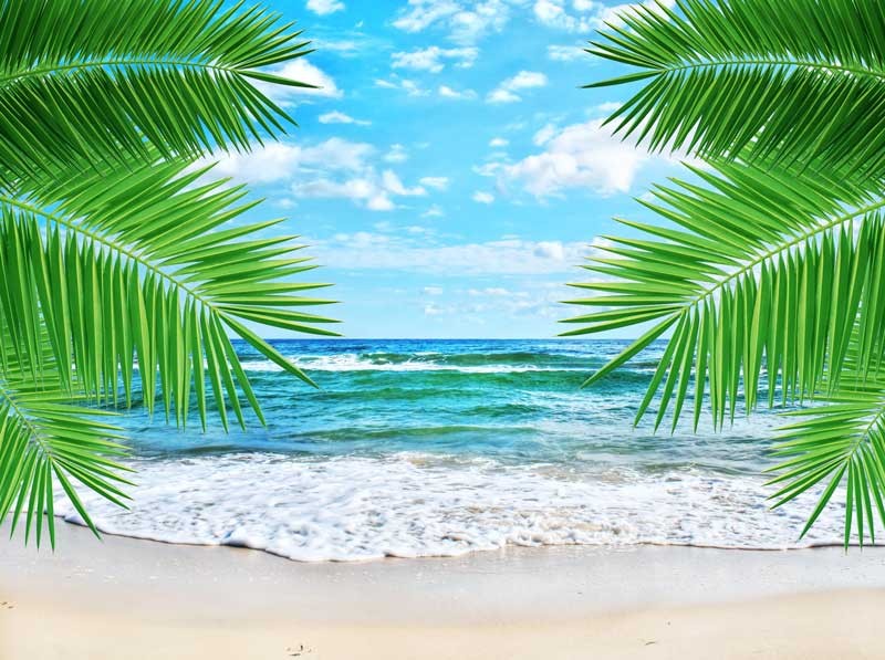 Tablou Plaja Tropicala