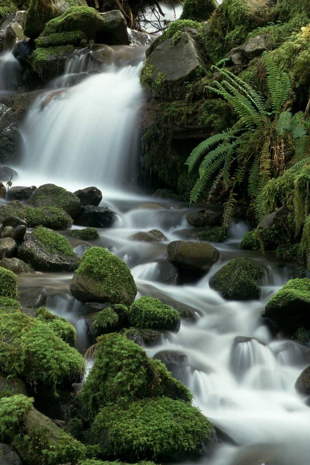 Tablou Cascada