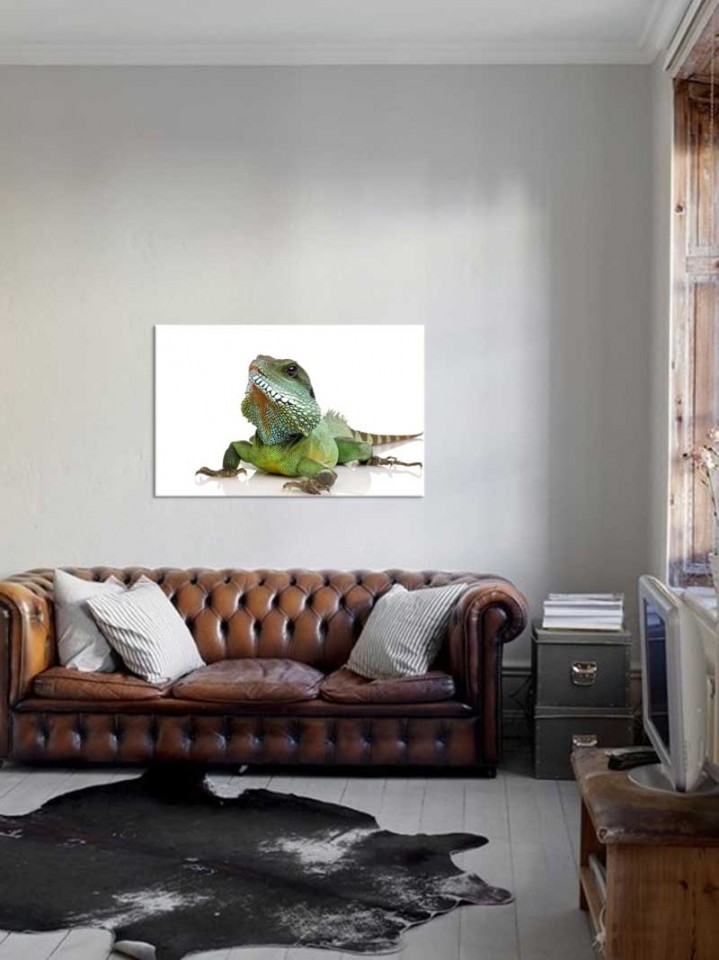 Tablou Iguana