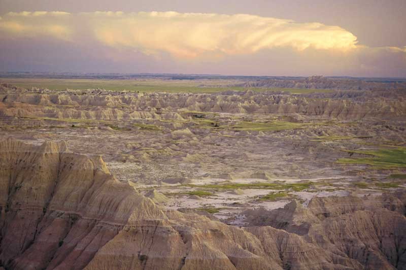 Tablou Natura