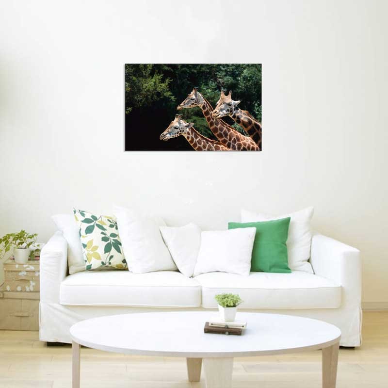 Tablou Girafe