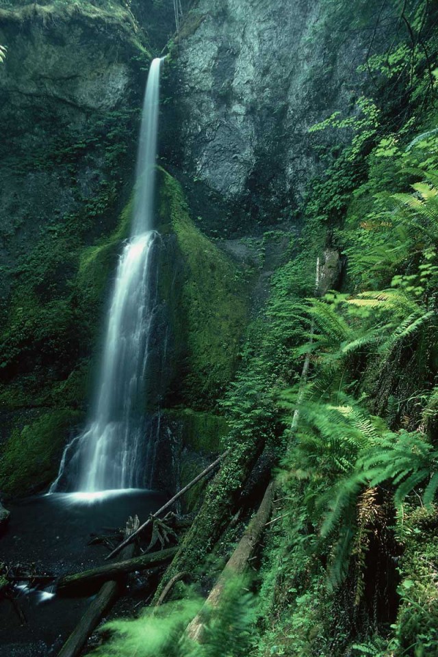 Tablou Cascada