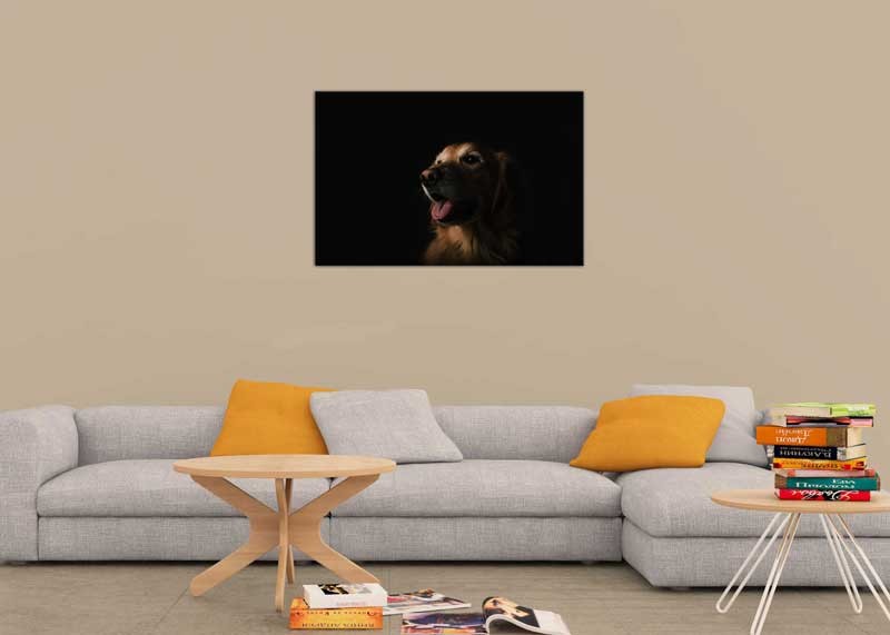 Tablou Golden Retriever