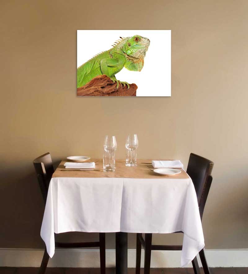 Tablou Iguana