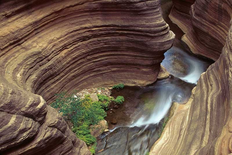 Tablou Natura