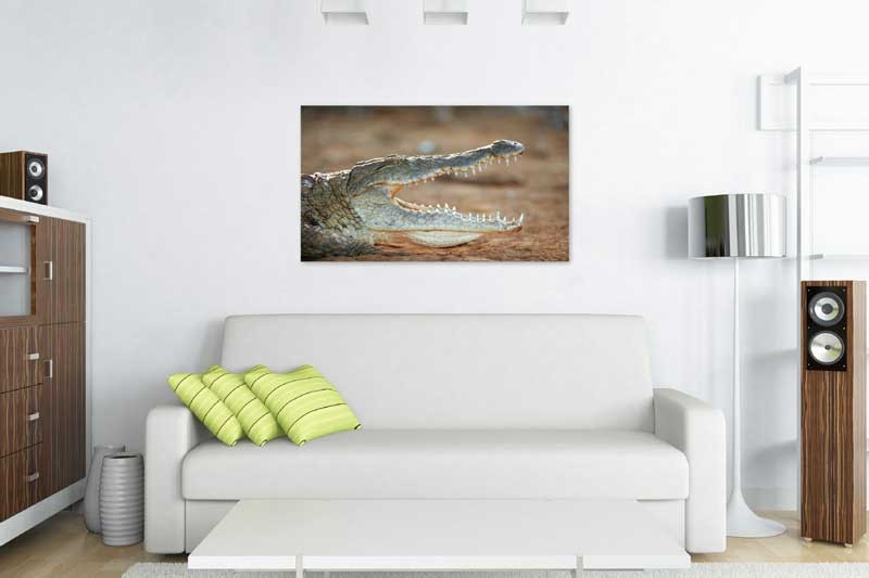 Tablou Crocodil