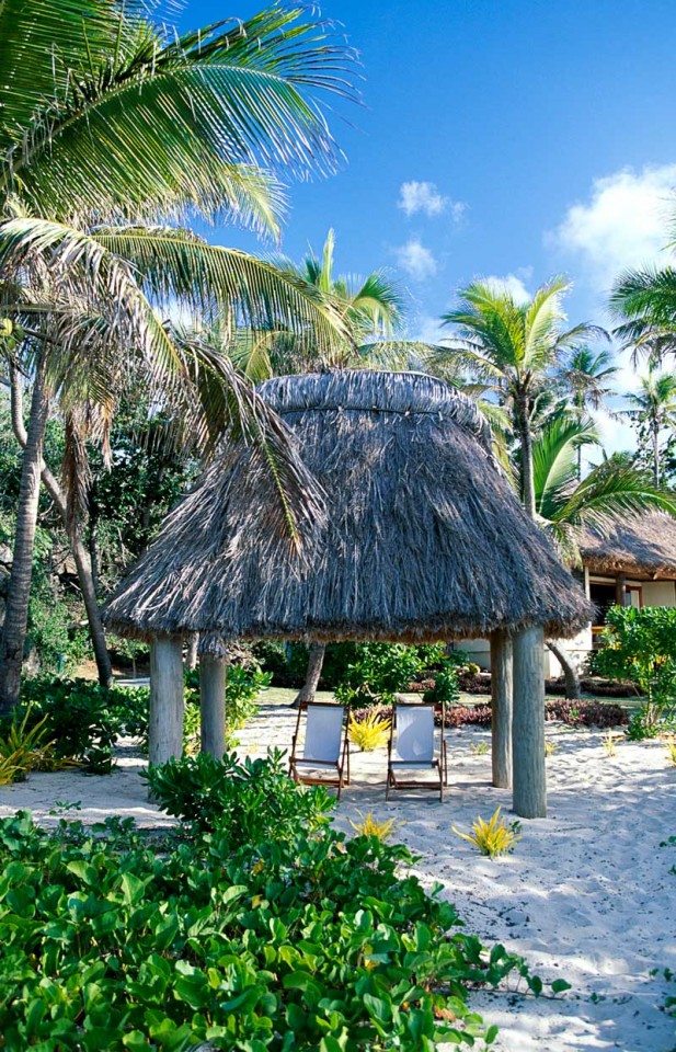 Tablou Paradisul Tropical