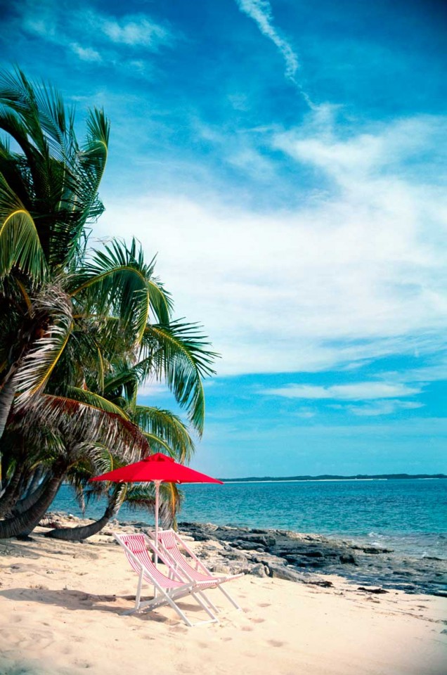 Tablou Paradisul Tropical