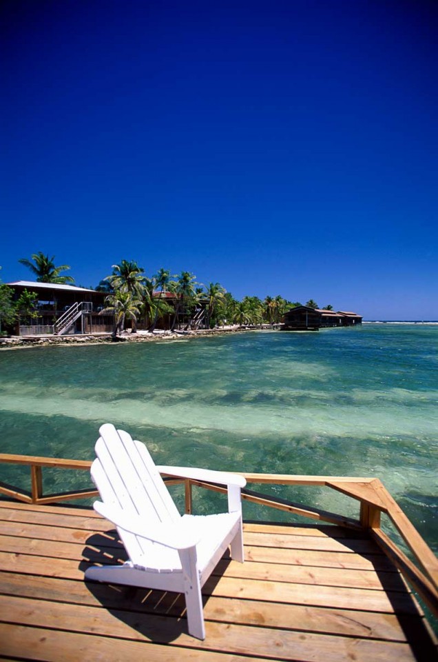 Tablou Paradisul Tropical