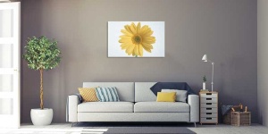 Tablou gerbera