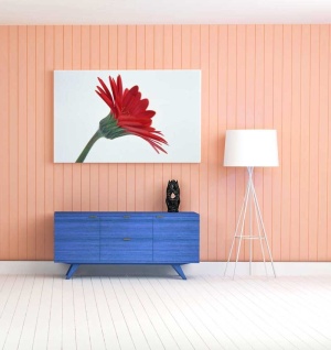 Tablou gerbera
